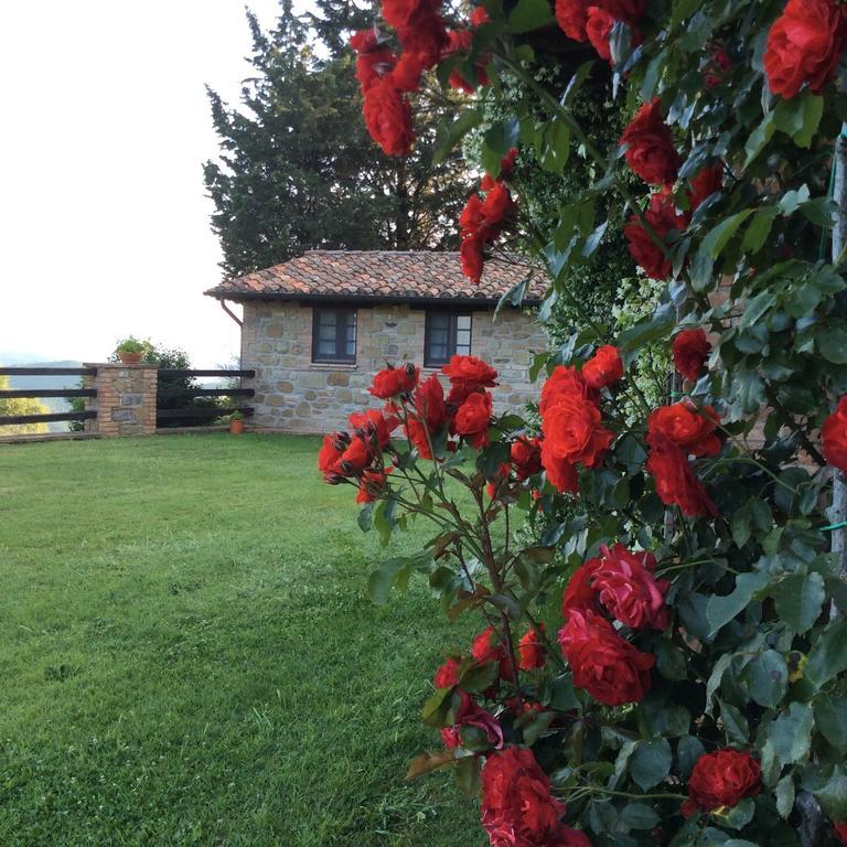 Agriturismo La Bicocca - Apt. "Il Leccio" Castel Rigone Rum bild